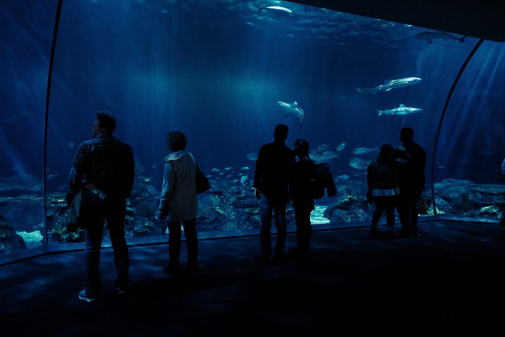 Istanbul Aquarium Floria is one of the largest aquariums in Turkey with many underwater inhabitants