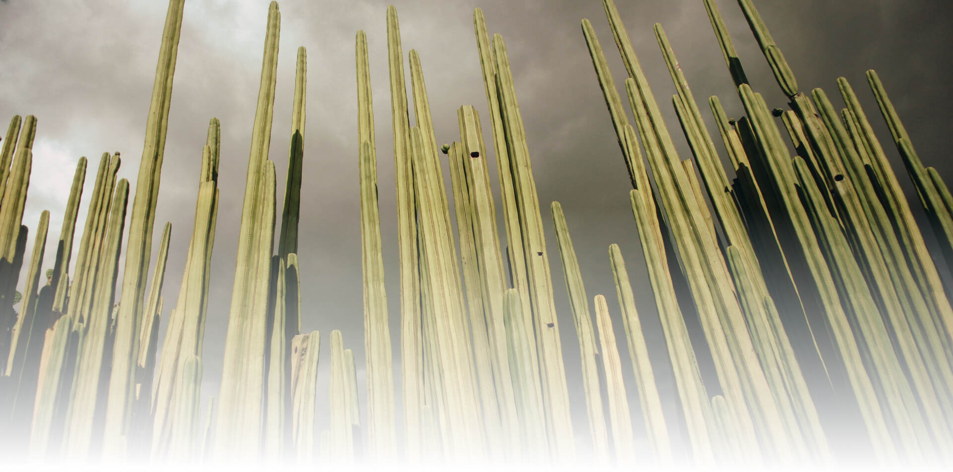 Travel Insurance to Mexico — Cheap Price from 0.99 ITI